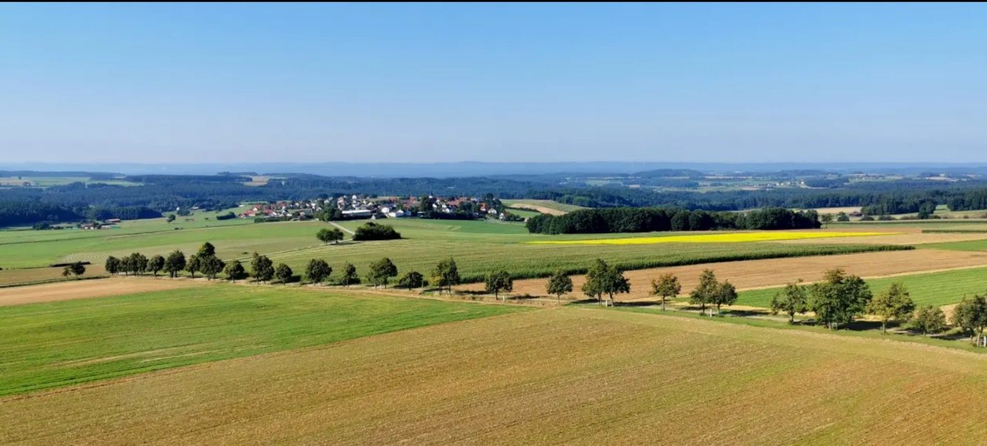 Thurndorf Weitblick – Blick über Felder und Wald bis zum Horizont